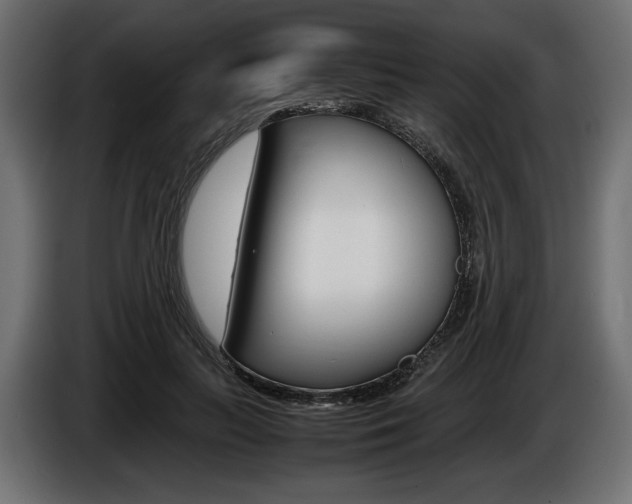X0000086960647200704161125