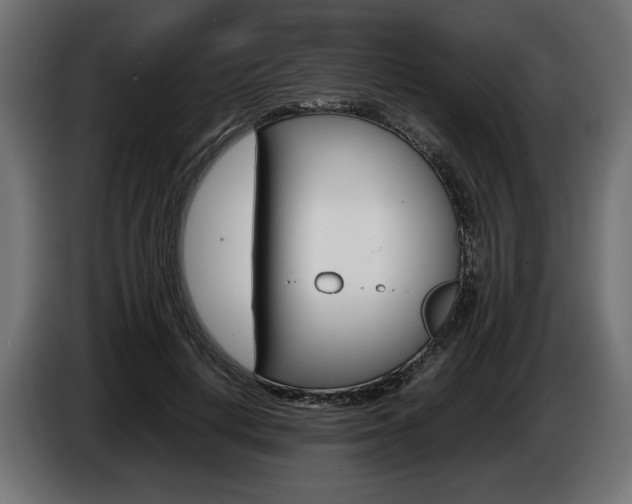 X0000086960648200704161125