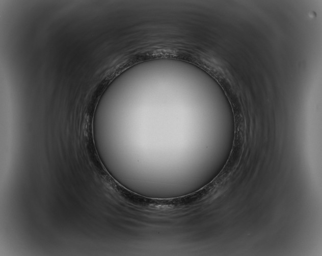 X0000086960649200704161125