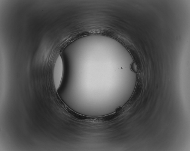 X0000086960652200704161125