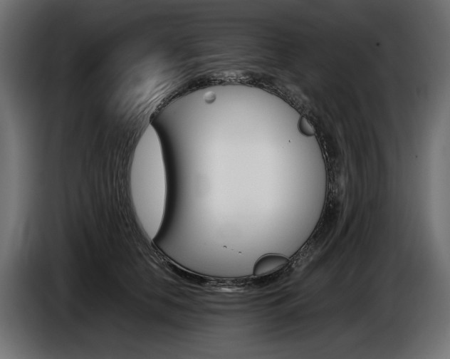 X0000086960658200704161125