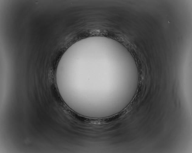 X0000086960659200704161125