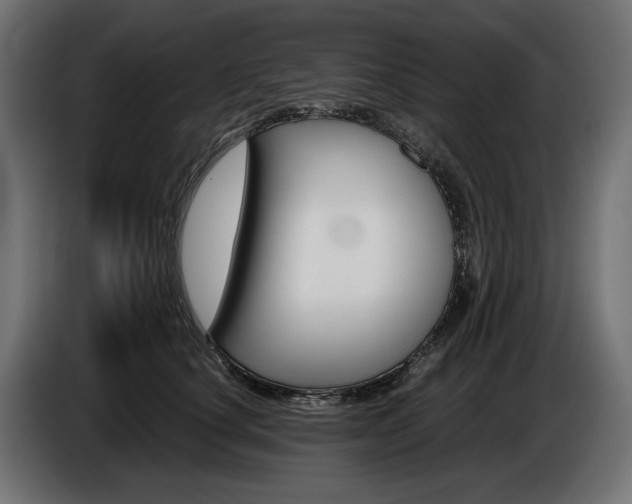 X0000086960660200704161125