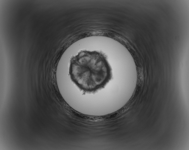 X0000086960667200704161125