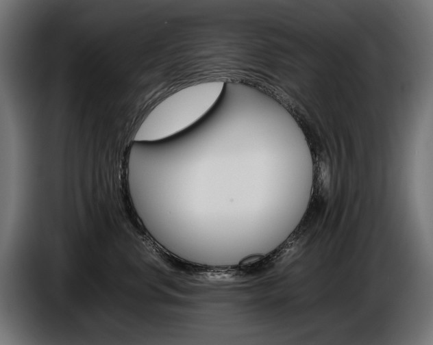 X0000086960668200704161125