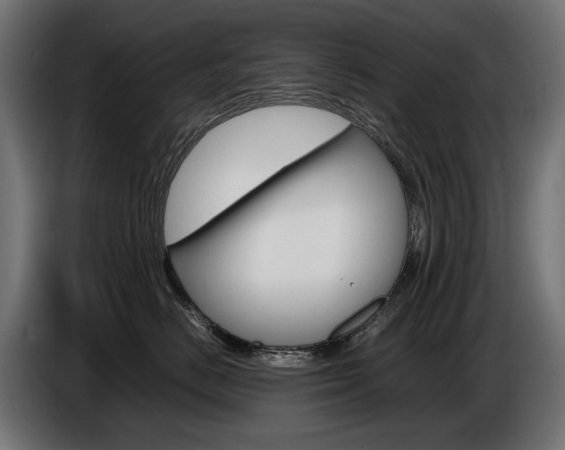 X0000086960670200704161125