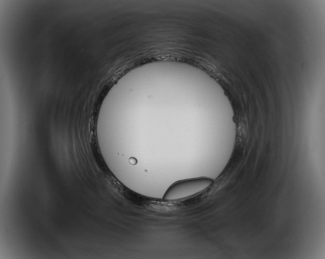 X0000086960671200704161125