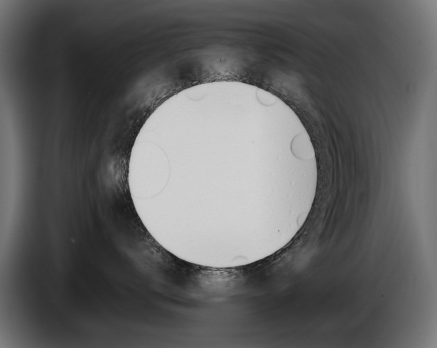 X0000086960672200704161125