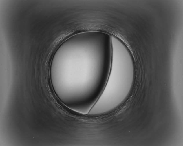 X0000086960673200704161124