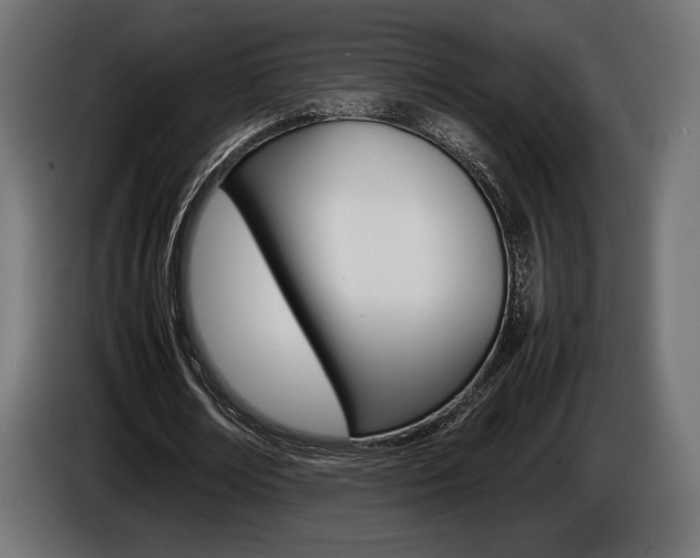 X0000086960674200704161124