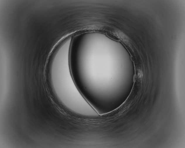 X0000086960676200704161124