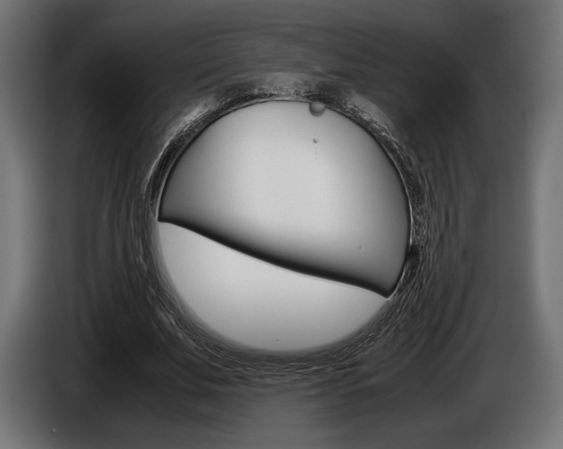 X0000086960679200704161124