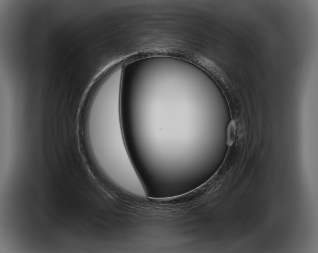 X0000086960680200704161124