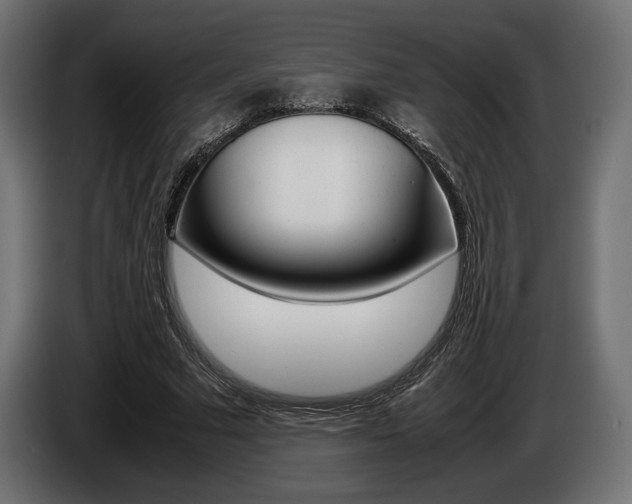 X0000086960681200704161124