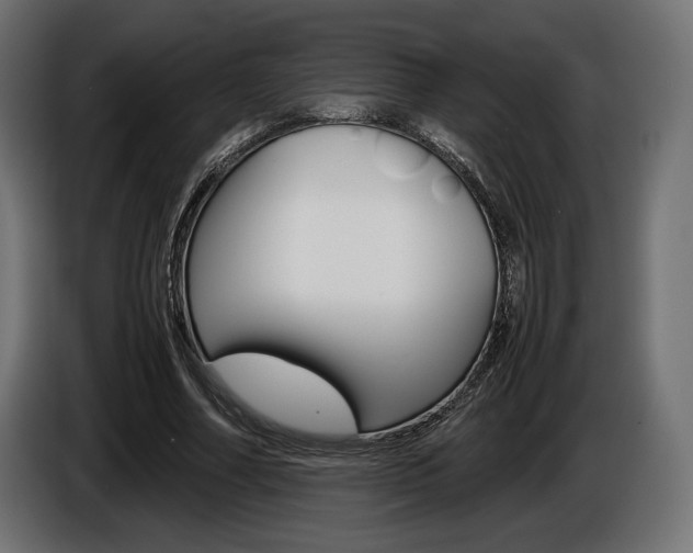 X0000086960682200704161124