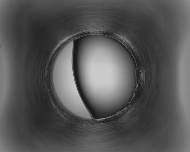 X0000086960684200704161124