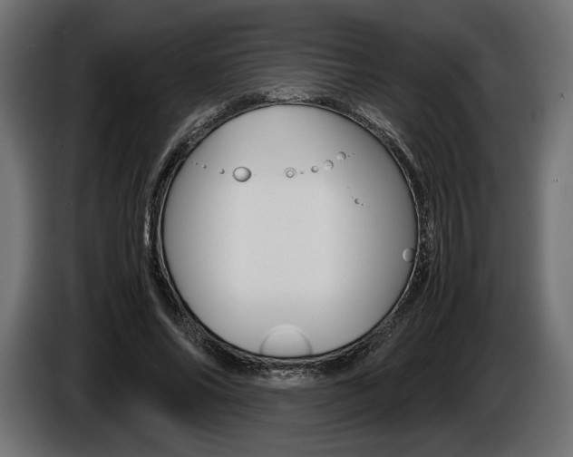X0000086960686200704161124