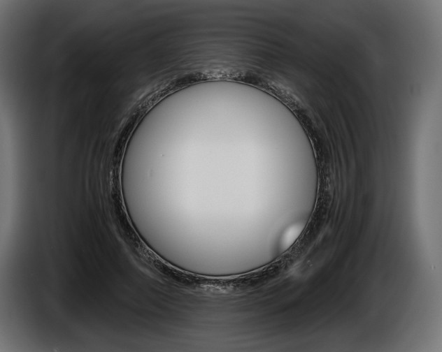 X0000086960690200704161124