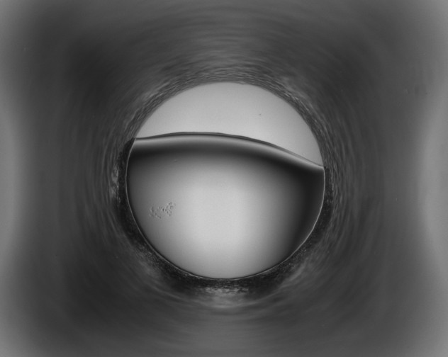 X0000086960693200704161124