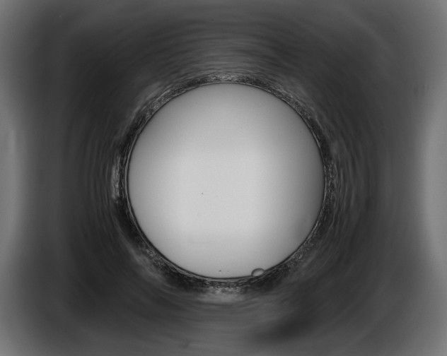 X0000086960694200704161124