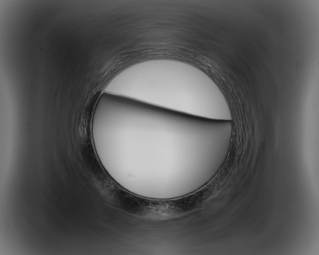 X0000086960695200704161124
