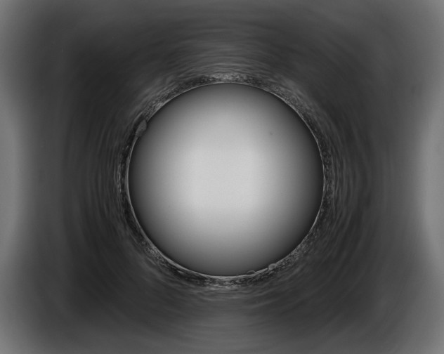 X0000086960696200704161124