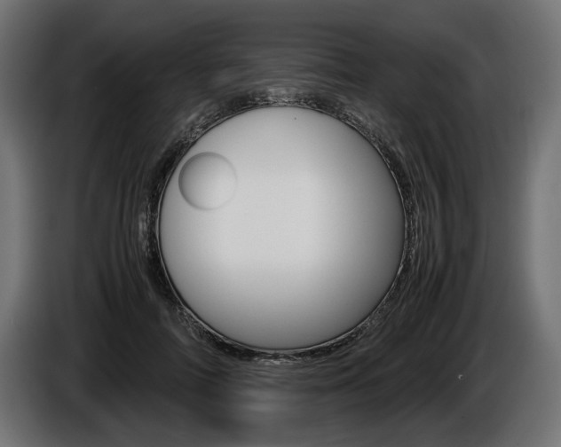 X0000086960698200704161124