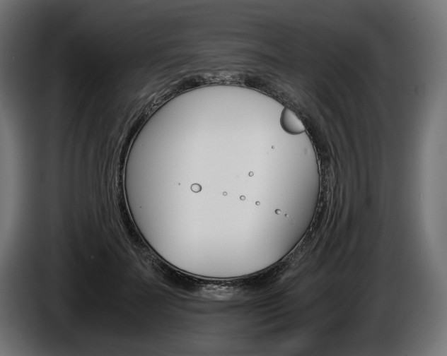 X0000086960699200704161124