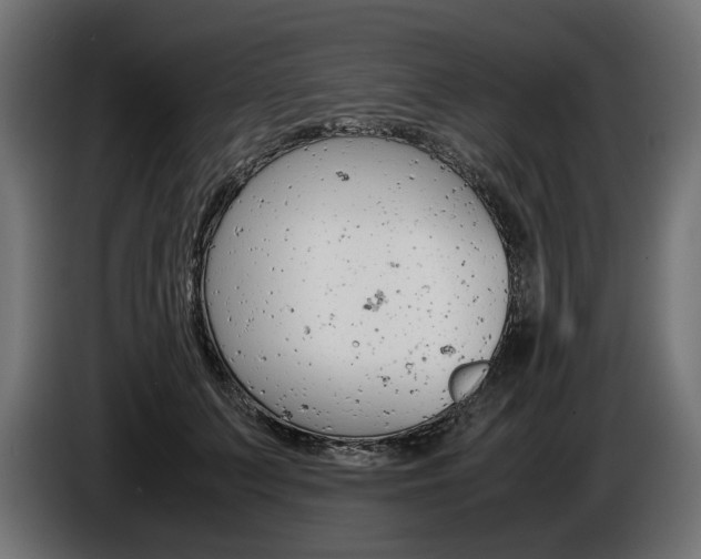 X0000086960703200704161124