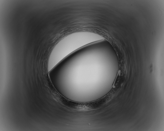 X0000086960704200704161124