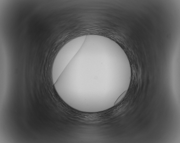 X0000086960705200704161124