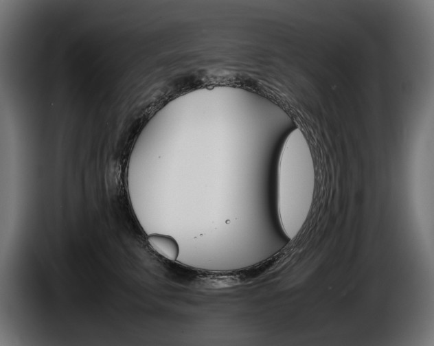 X0000086960711200704161124