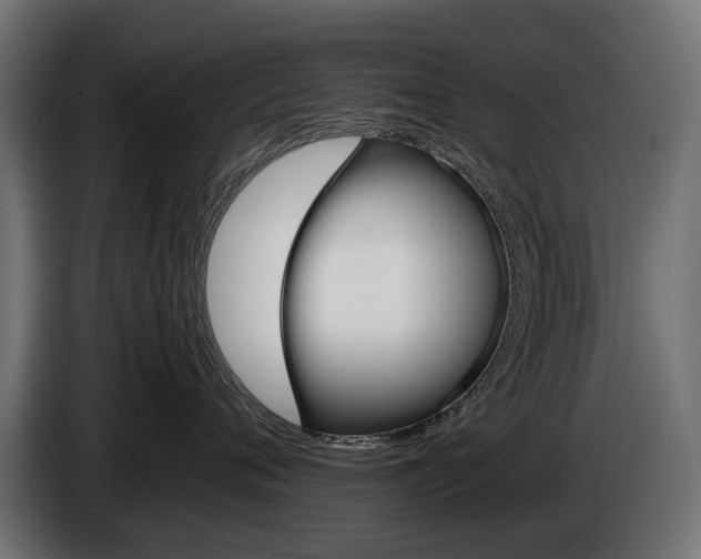 X0000086960720200704161124