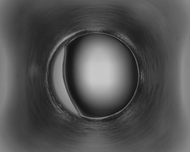 X0000086960724200704161123