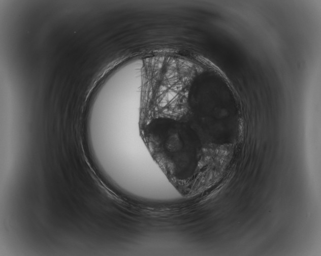 X0000086960725200704161123