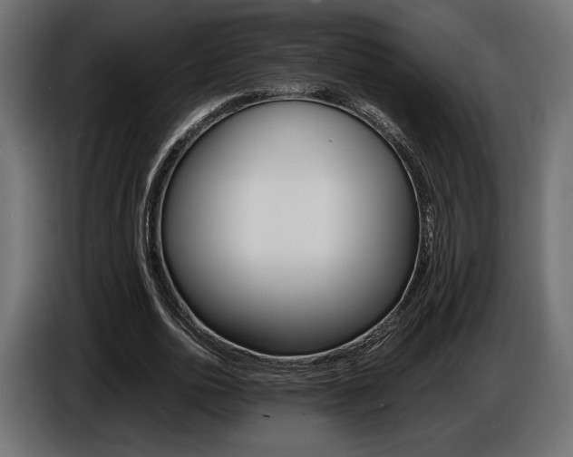 X0000086960726200704161123