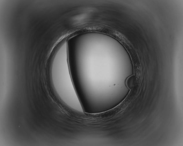 X0000086960727200704161123