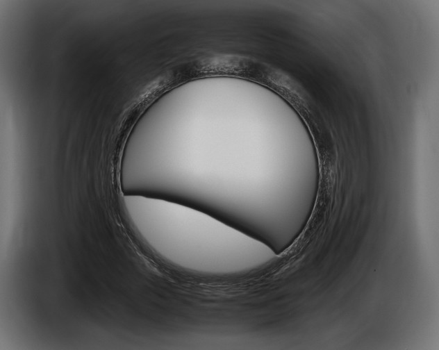 X0000086960729200704161123