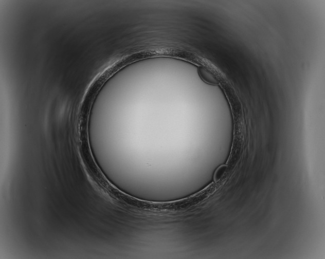 X0000086960730200704161123