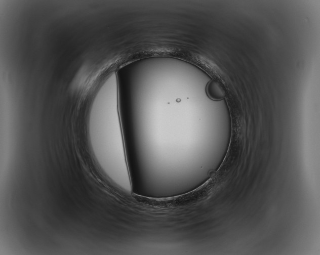 X0000086960731200704161123