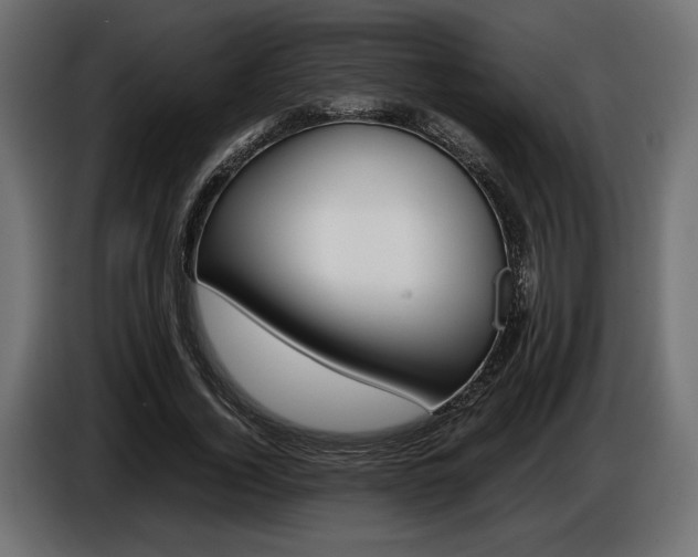 X0000086960732200704161123