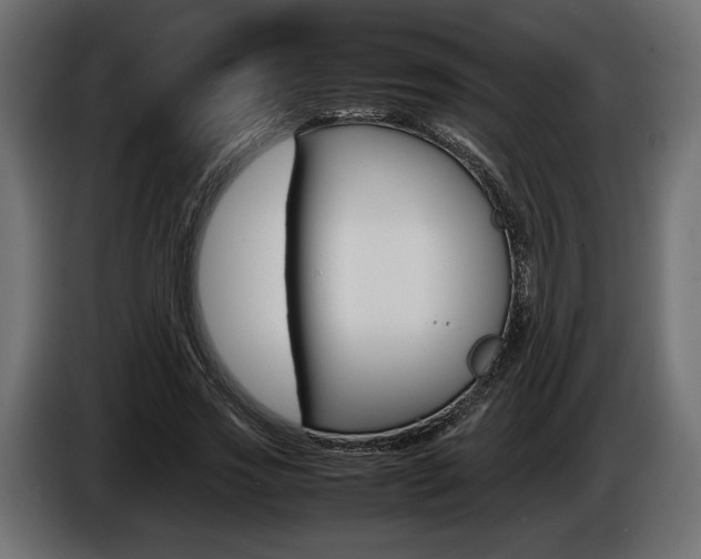 X0000086960733200704161123