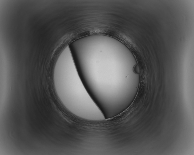 X0000086960738200704161123