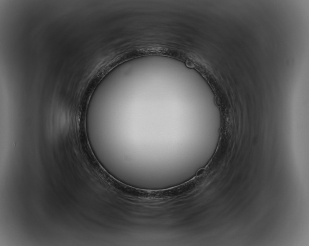 X0000086960739200704161123