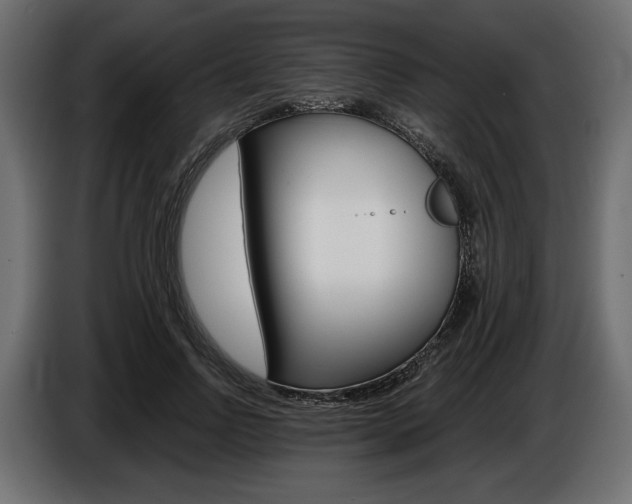 X0000086960742200704161123