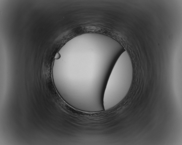 X0000086960745200704161123
