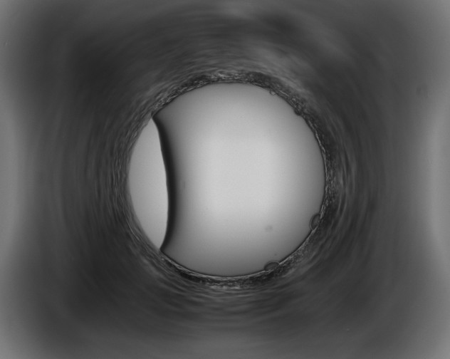 X0000086960749200704161124