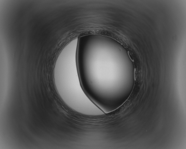 X0000086960750200704161124