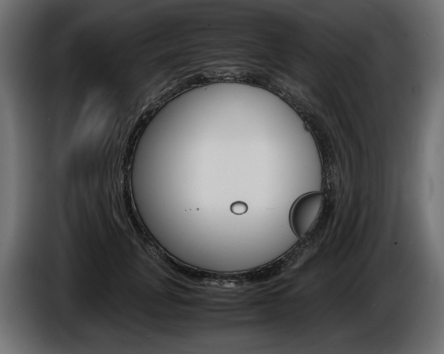 X0000086960751200704161124