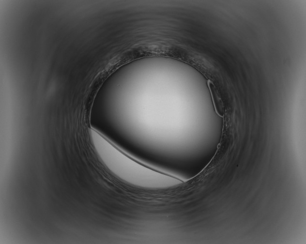 X0000086960752200704161124